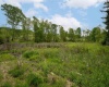998 Hanlin Road, Bruceton Mills, West Virginia 26525, ,Lots/land,For Sale,Hanlin,10159706