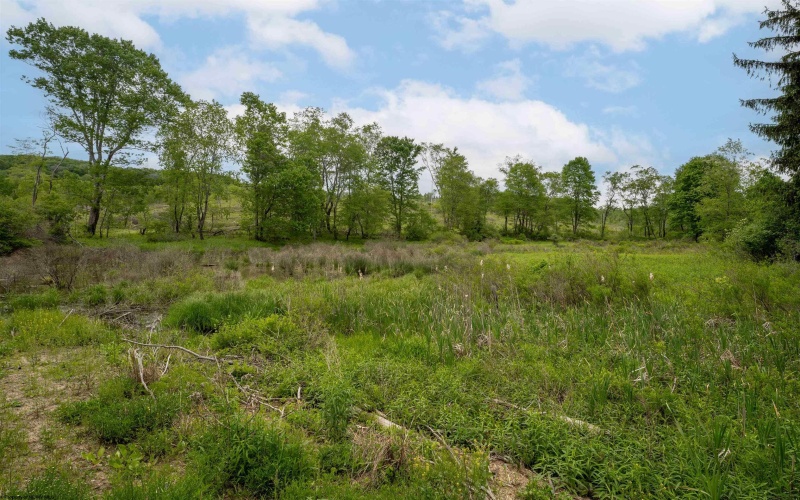 998 Hanlin Road, Bruceton Mills, West Virginia 26525, ,Lots/land,For Sale,Hanlin,10159706