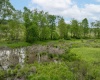 998 Hanlin Road, Bruceton Mills, West Virginia 26525, ,Lots/land,For Sale,Hanlin,10159706