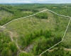 998 Hanlin Road, Bruceton Mills, West Virginia 26525, ,Lots/land,For Sale,Hanlin,10159706