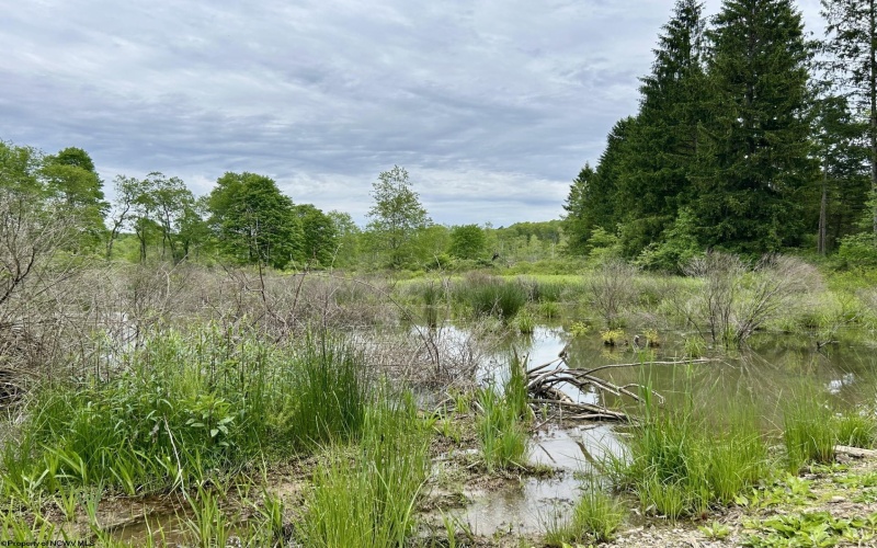 998 Hanlin Road, Bruceton Mills, West Virginia 26525, ,Lots/land,For Sale,Hanlin,10159706