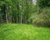 998 Hanlin Road, Bruceton Mills, West Virginia 26525, ,Lots/land,For Sale,Hanlin,10159706
