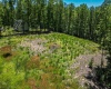 Lot 4 Mountain Top Estates, Morgantown, West Virginia 26508, ,Lots/land,For Sale,Mountain Top,10159708