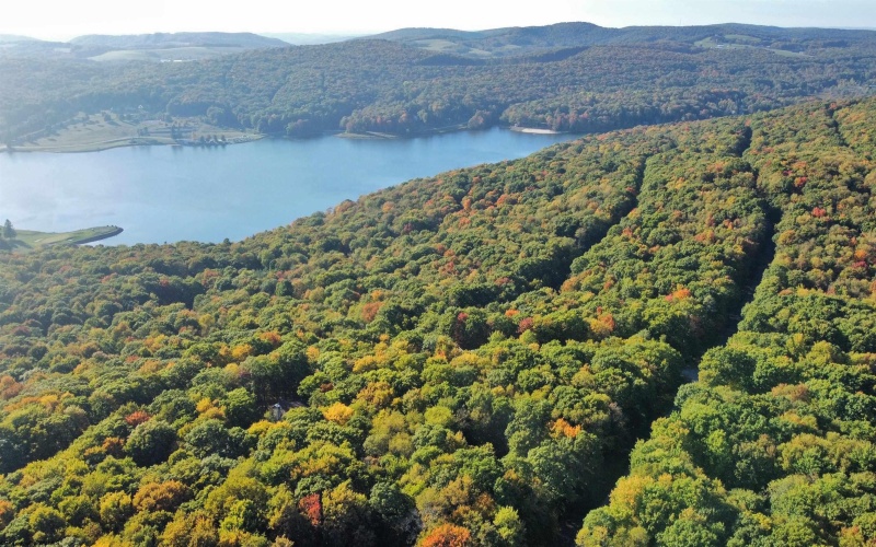 TBD Redwood Drive, Terra Alta, West Virginia 26764, ,Lots/land,For Sale,Redwood,10159729