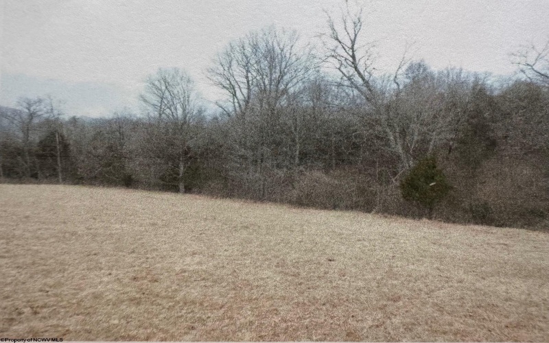 3177 Germany Valley Road, Riverton, West Virginia 26814, ,Lots/land,For Sale,Germany Valley,10159719