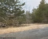 3177 Germany Valley Road, Riverton, West Virginia 26814, ,Lots/land,For Sale,Germany Valley,10159719