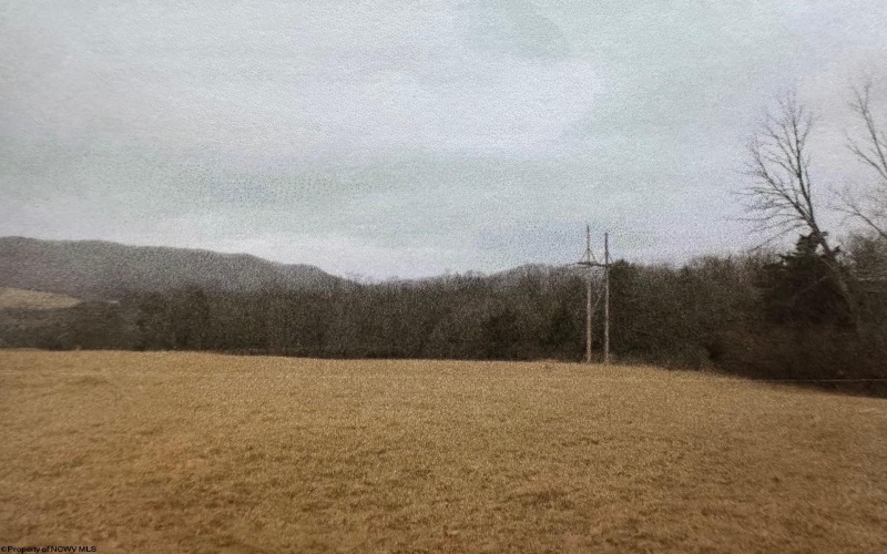 3177 Germany Valley Road, Riverton, West Virginia 26814, ,Lots/land,For Sale,Germany Valley,10159719