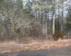 3177 Germany Valley Road, Riverton, West Virginia 26814, ,Lots/land,For Sale,Germany Valley,10159719