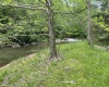 42 Sassy Run Drive, Tallmansville, West Virginia 26237, 3 Bedrooms Bedrooms, 7 Rooms Rooms,1 BathroomBathrooms,Single Family Detached,For Sale,Sassy Run,10159732