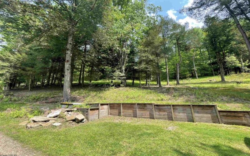 42 Sassy Run Drive, Tallmansville, West Virginia 26237, 3 Bedrooms Bedrooms, 7 Rooms Rooms,1 BathroomBathrooms,Single Family Detached,For Sale,Sassy Run,10159732