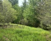 Lot 16 Casentino Court, Davis, West Virginia 26260, ,Lots/land,For Sale,Casentino,10159738
