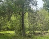 Lot 16 Casentino Court, Davis, West Virginia 26260, ,Lots/land,For Sale,Casentino,10159738