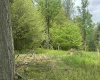 Lot 16 Casentino Court, Davis, West Virginia 26260, ,Lots/land,For Sale,Casentino,10159738