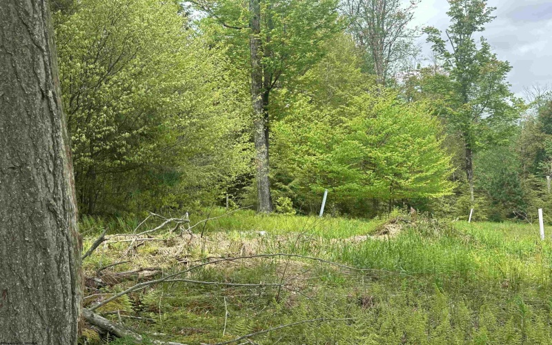 Lot 16 Casentino Court, Davis, West Virginia 26260, ,Lots/land,For Sale,Casentino,10159738