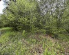 Lot 16 Casentino Court, Davis, West Virginia 26260, ,Lots/land,For Sale,Casentino,10159738