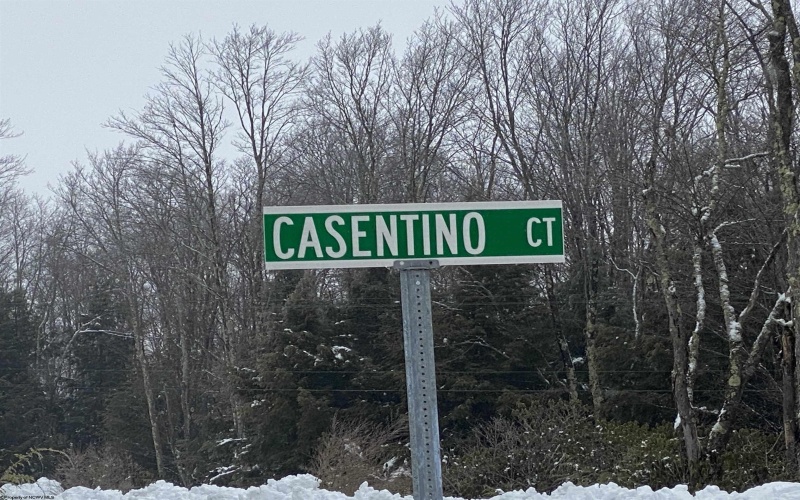 Lot 16 Casentino Court, Davis, West Virginia 26260, ,Lots/land,For Sale,Casentino,10159738