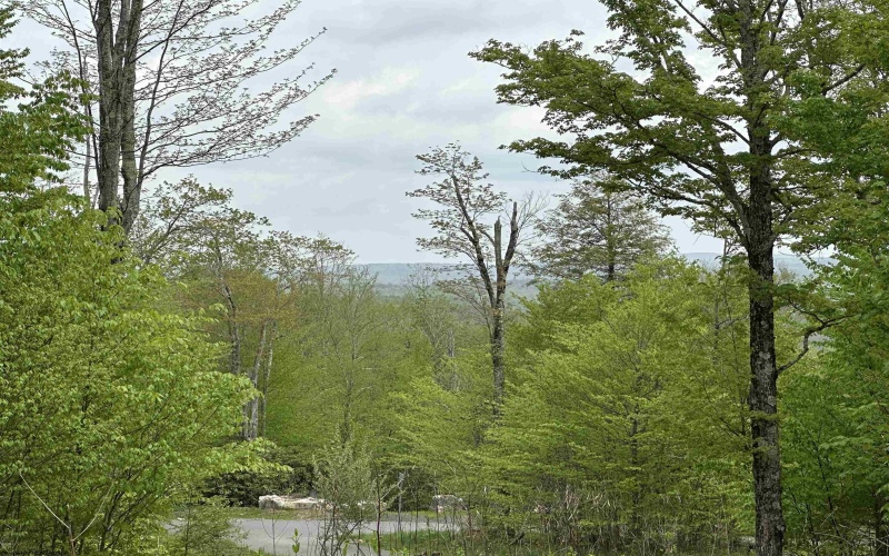 Lot 15 Casentino Court, Davis, West Virginia 26260, ,Lots/land,For Sale,Casentino,10159739