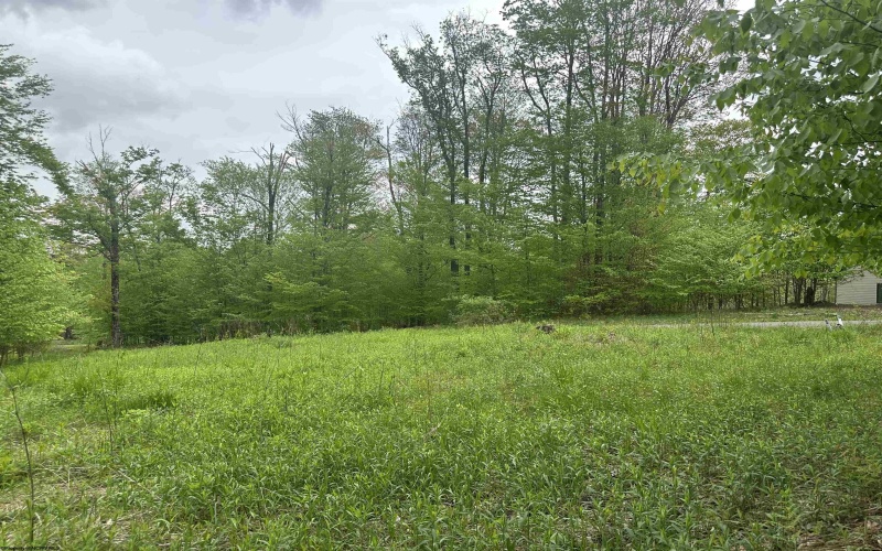 Lot 15 Casentino Court, Davis, West Virginia 26260, ,Lots/land,For Sale,Casentino,10159739