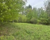 Lot 15 Casentino Court, Davis, West Virginia 26260, ,Lots/land,For Sale,Casentino,10159739