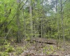 Lot 15 Casentino Court, Davis, West Virginia 26260, ,Lots/land,For Sale,Casentino,10159739