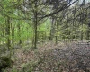 Lot 15 Casentino Court, Davis, West Virginia 26260, ,Lots/land,For Sale,Casentino,10159739