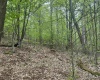 Lot 15 Casentino Court, Davis, West Virginia 26260, ,Lots/land,For Sale,Casentino,10159739