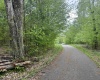 Lot 15 Casentino Court, Davis, West Virginia 26260, ,Lots/land,For Sale,Casentino,10159739