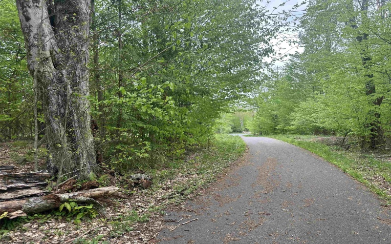 Lot 15 Casentino Court, Davis, West Virginia 26260, ,Lots/land,For Sale,Casentino,10159739