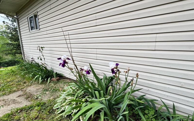 3097 Wateman Way, Fairmont, West Virginia 26554, 3 Bedrooms Bedrooms, 5 Rooms Rooms,1 BathroomBathrooms,Single Family Detached,For Sale,Wateman,10159640