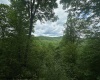 TBD Snake Road, Rowlesburg, West Virginia 26425, ,Lots/land,For Sale,Snake,10159735