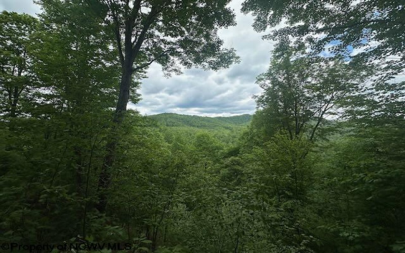 TBD Snake Road, Rowlesburg, West Virginia 26425, ,Lots/land,For Sale,Snake,10159735