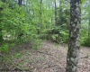 TBD Snake Road, Rowlesburg, West Virginia 26425, ,Lots/land,For Sale,Snake,10159735