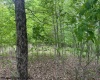 TBD Snake Road, Rowlesburg, West Virginia 26425, ,Lots/land,For Sale,Snake,10159735