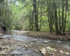 TBD Snake Road, Rowlesburg, West Virginia 26425, ,Lots/land,For Sale,Snake,10159735