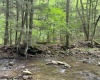 TBD Snake Road, Rowlesburg, West Virginia 26425, ,Lots/land,For Sale,Snake,10159735