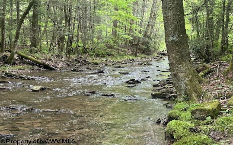 TBD Snake Road, Rowlesburg, West Virginia 26425, ,Lots/land,For Sale,Snake,10159735