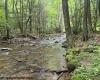 TBD Snake Road, Rowlesburg, West Virginia 26425, ,Lots/land,For Sale,Snake,10159735