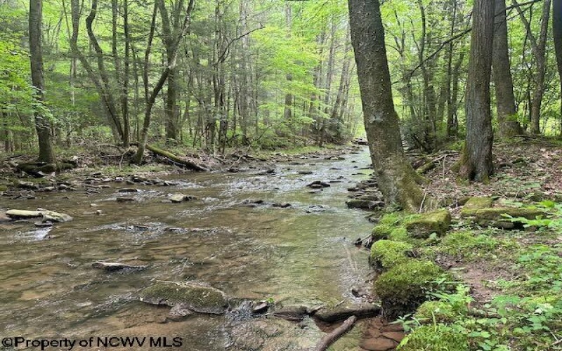 TBD Snake Road, Rowlesburg, West Virginia 26425, ,Lots/land,For Sale,Snake,10159735