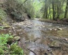 TBD Snake Road, Rowlesburg, West Virginia 26425, ,Lots/land,For Sale,Snake,10159735