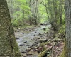 TBD Snake Road, Rowlesburg, West Virginia 26425, ,Lots/land,For Sale,Snake,10159735