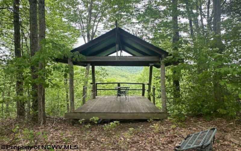 TBD Snake Road, Rowlesburg, West Virginia 26425, ,Lots/land,For Sale,Snake,10159735