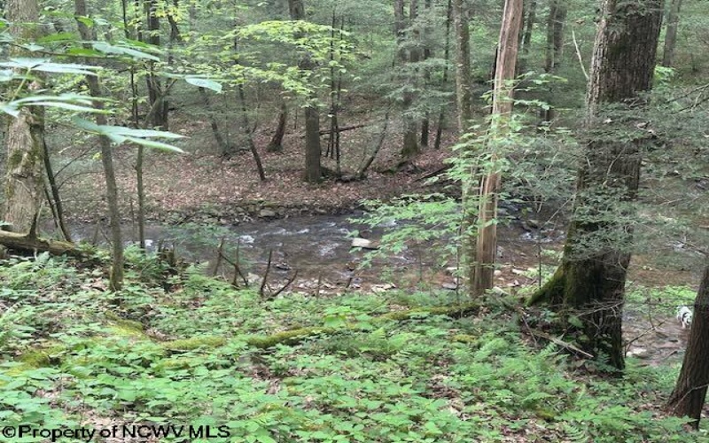 TBD Snake Road, Rowlesburg, West Virginia 26425, ,Lots/land,For Sale,Snake,10159735
