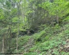 TBD Snake Road, Rowlesburg, West Virginia 26425, ,Lots/land,For Sale,Snake,10159735
