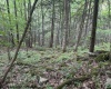 TBD Snake Road, Rowlesburg, West Virginia 26425, ,Lots/land,For Sale,Snake,10159735