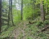 TBD Snake Road, Rowlesburg, West Virginia 26425, ,Lots/land,For Sale,Snake,10159735