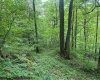 TBD Snake Road, Rowlesburg, West Virginia 26425, ,Lots/land,For Sale,Snake,10159735