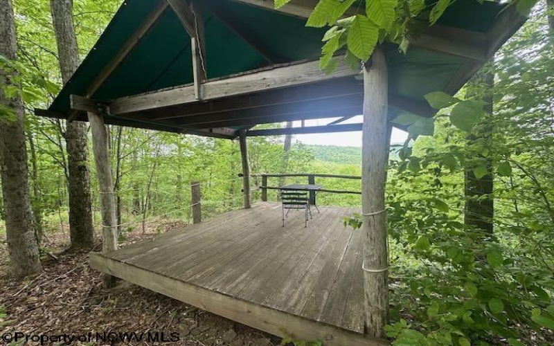 TBD Snake Road, Rowlesburg, West Virginia 26425, ,Lots/land,For Sale,Snake,10159735