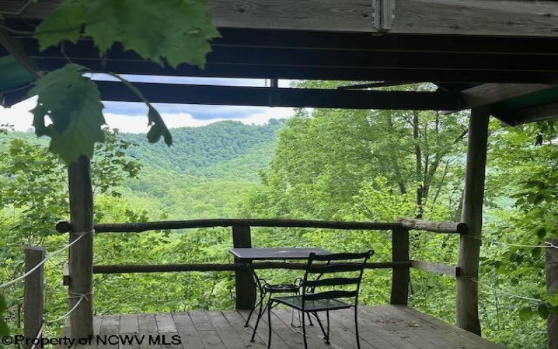 TBD Snake Road, Rowlesburg, West Virginia 26425, ,Lots/land,For Sale,Snake,10159735