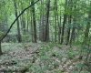TBD Snake Road, Rowlesburg, West Virginia 26425, ,Lots/land,For Sale,Snake,10159735