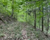 TBD Snake Road, Rowlesburg, West Virginia 26425, ,Lots/land,For Sale,Snake,10159735